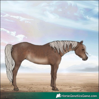 Horse Color:Silver Black 