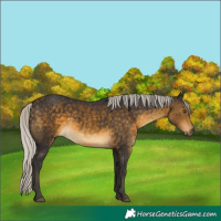 Horse Color:Silver Buckskin 