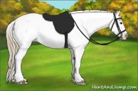 Horse Color:Liver Red Roan Splash Appaloosa 