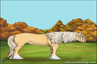 Horse Color:Palomino Rabicano 