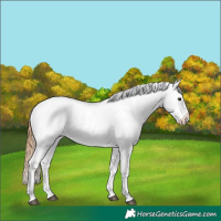 Horse Color:Chestnut Tobiano Snowflake Varnish