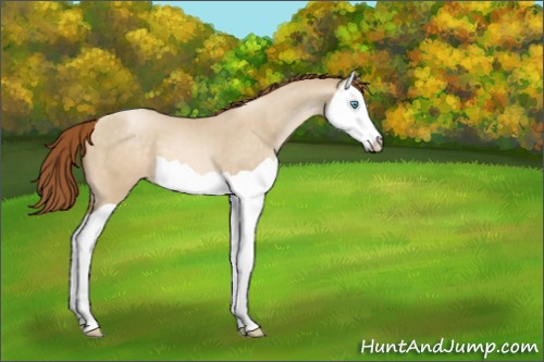 Horse Color:Smoky Grullo Pearl Splash 