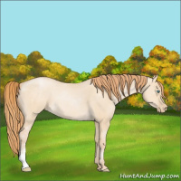 Horse Color:Smoky Grullo Pearl Sabino 