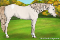 Horse Color:Smoky Creme Dun Varnish 