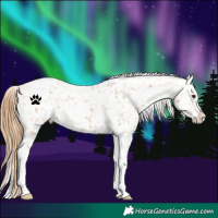Horse Color:Chestnut Tobiano Snowflake Varnish