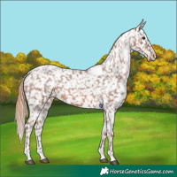 Horse Color:Chestnut Tobiano Snowflake Varnish