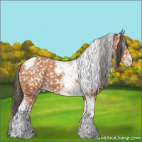 Horse Color:Bay Tobiano Frame Snowflake Varnish