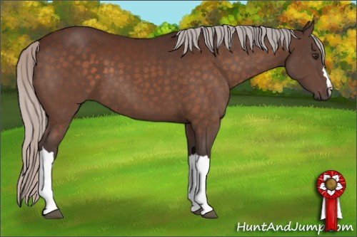 Horse Color:Silver Brown 