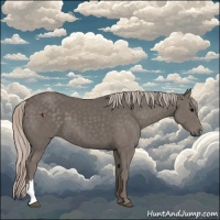Horse Color:Silver Black
