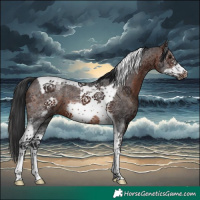 Horse Color:Brown Sabino Tobiano Frame 