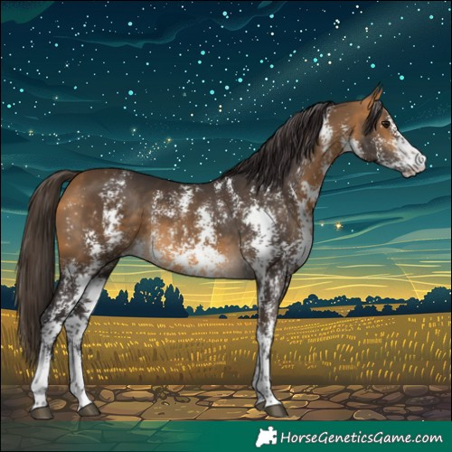 Horse Color:Buckskin Sabino 