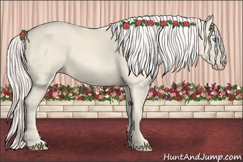 Horse Color:Cremello Splash  Brindle