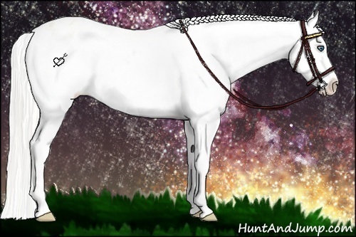 Horse Color:Cremello Splash Varnish  Brindle