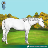 Horse Color:Gray Silver Amber Cream Champagne Tobiano Appaloosa 