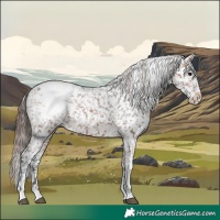 Horse Color:Bay Tobiano Snowcap 