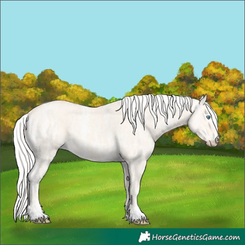 Horse Color:Silver Perlino Ice Dun 