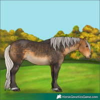 Horse Color:Silver Buckskin Rabicano