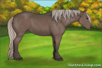 Horse Color:Silver Black 