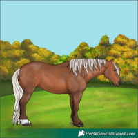 Horse Color:Silver Brown