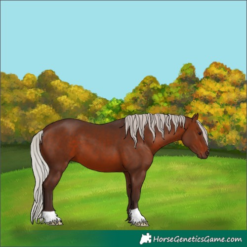 Horse Color:Silver Brown 
