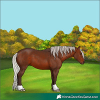 Horse Color:Silver Brown 