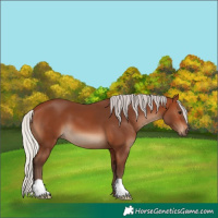 Horse Color:Silver Brown 