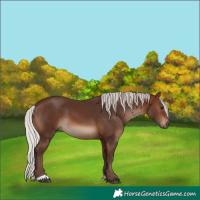 Horse Color:Silver Brown 