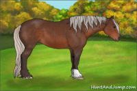 Horse Color:Silver Brown 