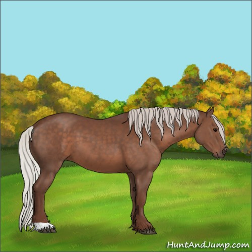 Horse Color:Silver Black