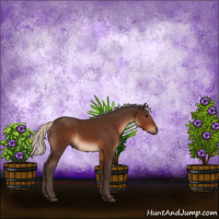 Horse Color:Silver Brown 