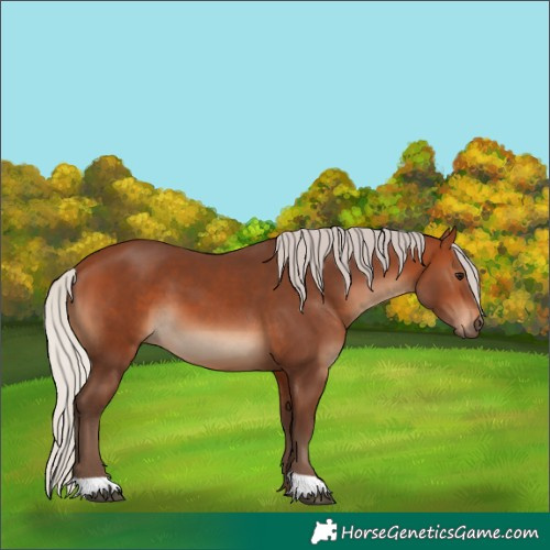 Horse Color:Silver Brown 