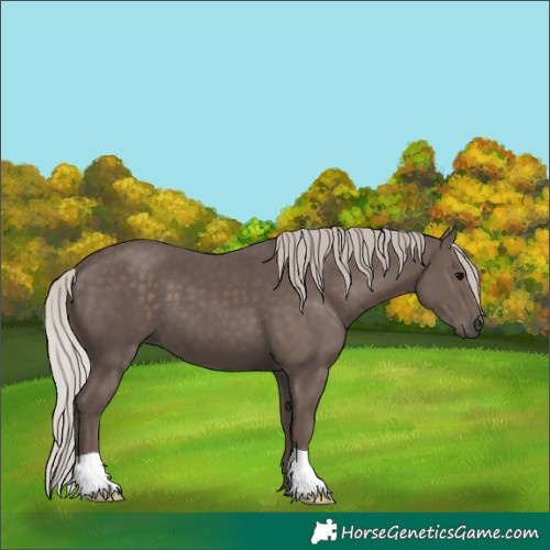 Horse Color:Silver Black 