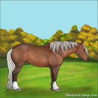 Horse Color:Silver Brown 