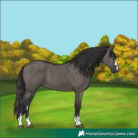 Horse Color:Smoky Grullo 