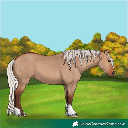 Horse Color:Silver Brown Dun