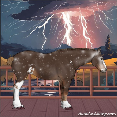 Horse Color:Gray Chestnut Sabino