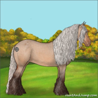 Horse Color:Silver Brown Dun Appaloosa 