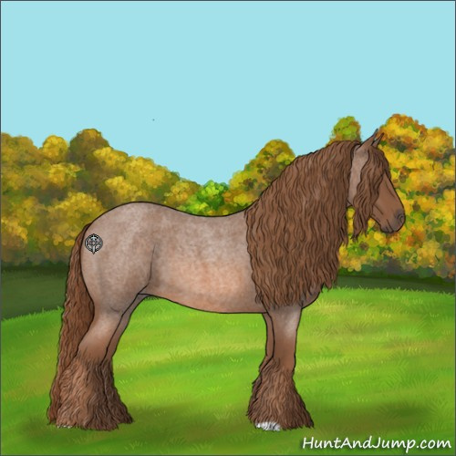 Horse Color:Red Roan 
