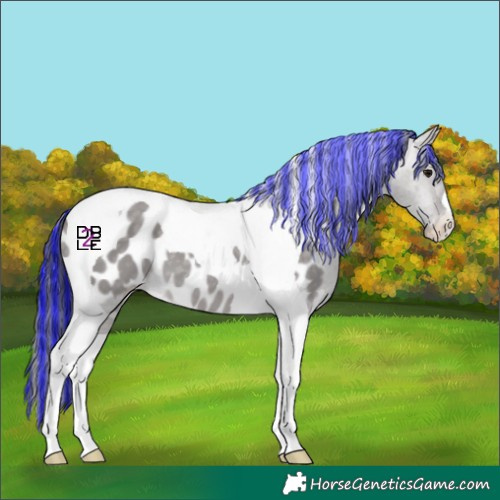 Horse Color:Platinum Painted Brown Dun Tobiano Blanket