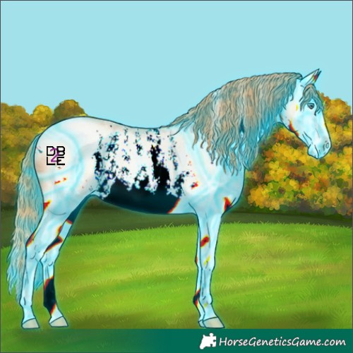 Horse Color:ERROR: UNKNOWN ANOMALY