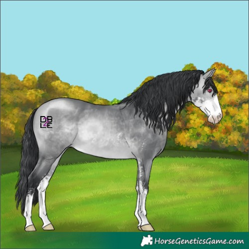 Horse Color:Brown Chinchilla Sabino