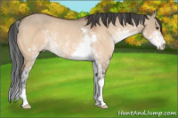 Horse Color:Brown Dun Sabino Rabicano