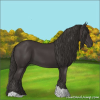 Horse Color:Smoky Black Tobiano 