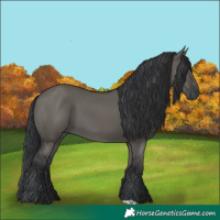 Horse Color:Grullo 