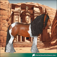 Horse Color:Bay Tobiano 