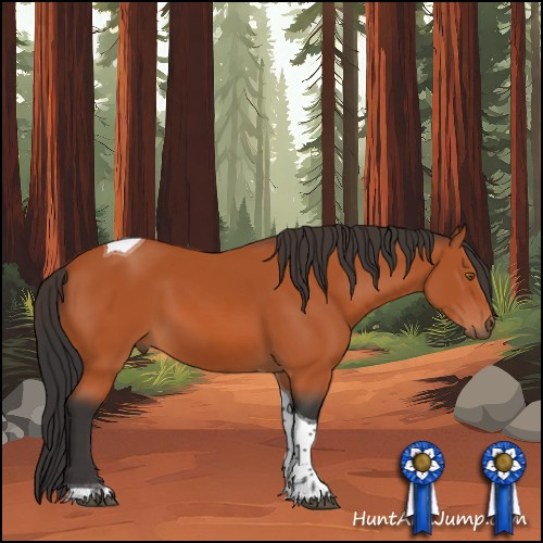 Horse Color:Brown Tobiano 