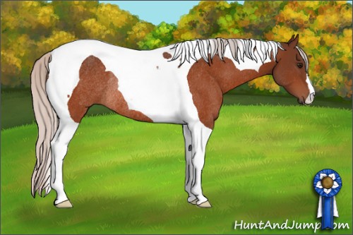 Horse Color:Silver Bay Tobiano Rabicano 