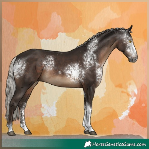 Horse Color:Gray White Spotted Silver Black Tobiano Rabicano 