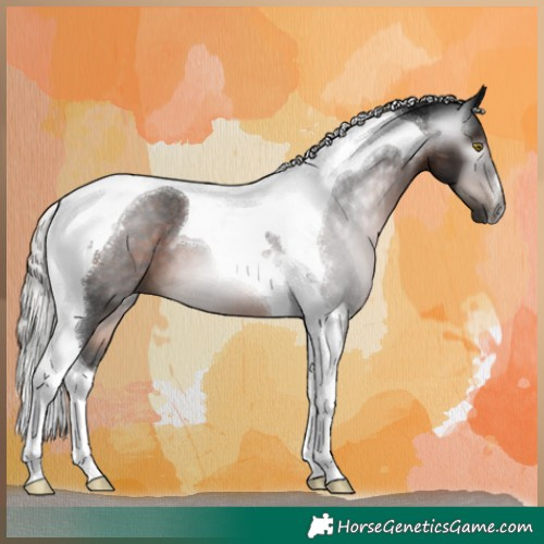 Horse Color:Gray Silver Brown Tobiano 
