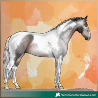 Horse Color:Gray Silver Brown Tobiano